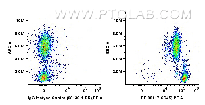 CD45