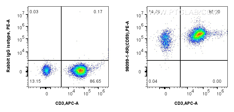 Flow cytometry (FC) experiment of human PBMCs using Anti-Human CD59 Rabbit Recombinant Antibody (98099-1-RR)