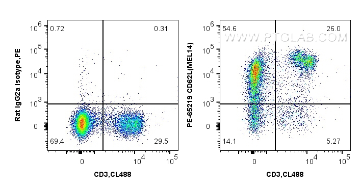 Flow cytometry (FC) experiment of mouse splenocytes using PE Anti-Mouse CD62L (MEL14) (PE-65219)