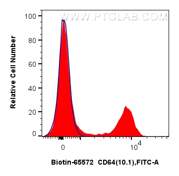 Flow cytometry (FC) experiment of human PBMCs using Biotin Anti-Human  CD64 (10.1) Mouse IgG2a Recombi (Biotin-65572)