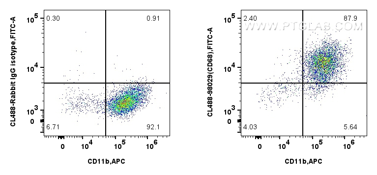 Flow cytometry (FC) experiment of mouse peritoneal macrophages using CoraLite® Plus 488 Anti-Mouse CD68 Rabbit Recombin (CL488-98029)