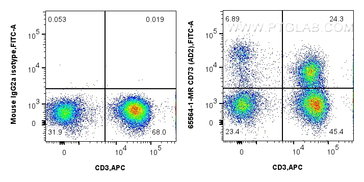 Flow cytometry (FC) experiment of human PBMCs using Anti-Human CD73 (AD2) Mouse Recombinant Antibody (65564-1-MR)