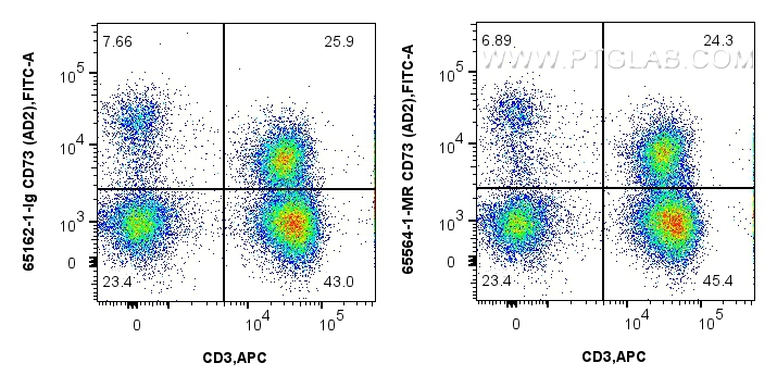Flow cytometry (FC) experiment of human PBMCs using Anti-Human CD73 (AD2) Mouse IgG2a Recombinant Anti (65564-1-MR)
