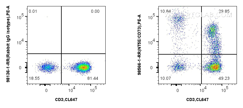 Flow cytometry (FC) experiment of human PBMCs using Anti-Human CD73 Rabbit Recombinant Antibody (98566-1-RR)