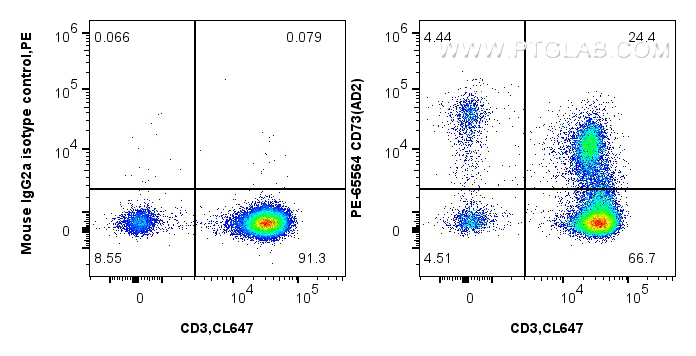 Flow cytometry (FC) experiment of human PBMCs using PE Anti-Human CD73 (AD2) Mouse IgG2a Recombinant A (PE-65564)