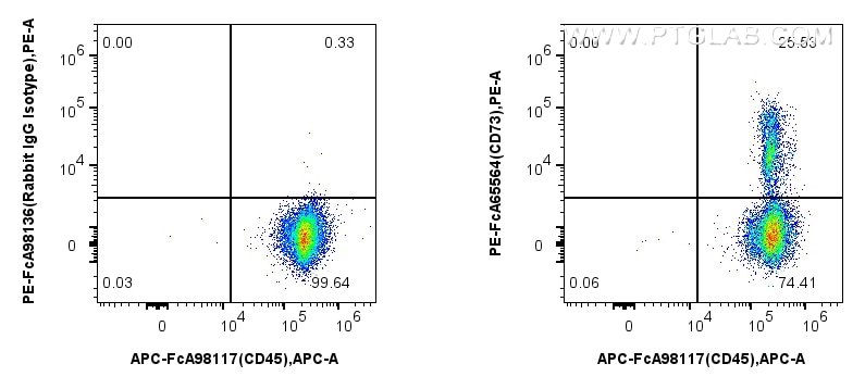 Flow cytometry (FC) experiment of human PBMCs using FcZero-rAb™ PE Anti-Human CD73 (AD2) Rabbit IgG Re (PE-FcA65564)