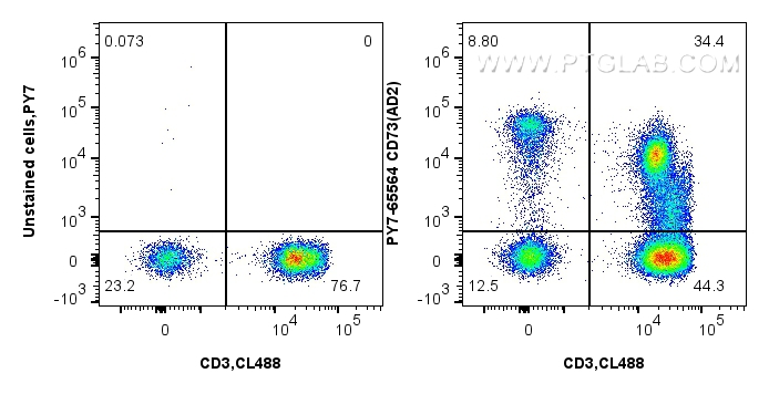 Flow cytometry (FC) experiment of human PBMCs using PE-Cyanine7 Anti-Human CD73 (AD2) Mouse IgG2a Reco (PY7-65564)