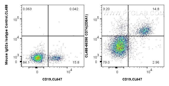 Flow cytometry (FC) experiment of human PBMCs using CoraLite® Plus 488-conjugated CD74 Monoclonal anti (CL488-66390)