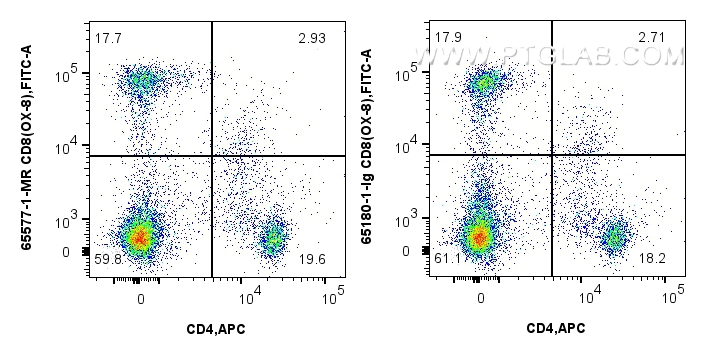 Flow cytometry (FC) experiment of rat splenocytes cells using Anti-Rat CD8a (OX-8) Mouse IgG2a Recombinant Antib (65577-1-MR)