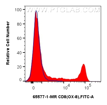 Flow cytometry (FC) experiment of rat splenocytes cells using Anti-Rat CD8 (OX-8) Mouse IgG2a Recombinant Antibo (65577-1-MR)