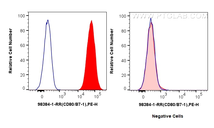 Flow cytometry (FC) experiment of Raji cells using Anti-Human CD80 Rabbit Recombinant Antibody (98384-1-RR)