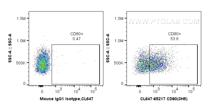 Flow cytometry (FC) experiment of wistar rat splenocytes using CoraLite® Plus 647 Anti-Rat CD80 (3H5) (CL647-65217)