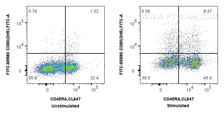 Flow cytometry (FC) experiment of rat splenocytes cells using FITC Plus Anti-Rat CD80 (3H5) Mouse IgG2a Recombin (FITC-65580)