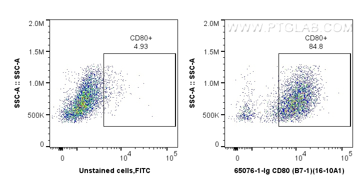 Flow cytometry (FC) experiment of BALB/C mouse peritoneal macrophages using Anti-Mouse CD80 (B7-1) (16-10A1) (65076-1-Ig)
