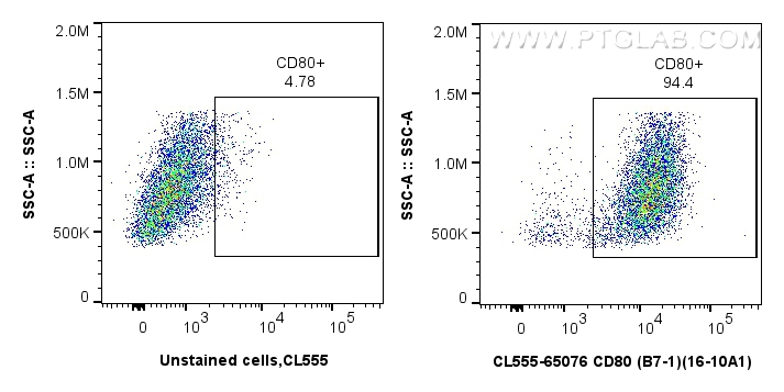 Flow cytometry (FC) experiment of BALB/C mouse peritoneal macrophages using CoraLite® Plus 555 Anti-Mouse CD80 (B7-1) (16-10A1 (CL555-65076)