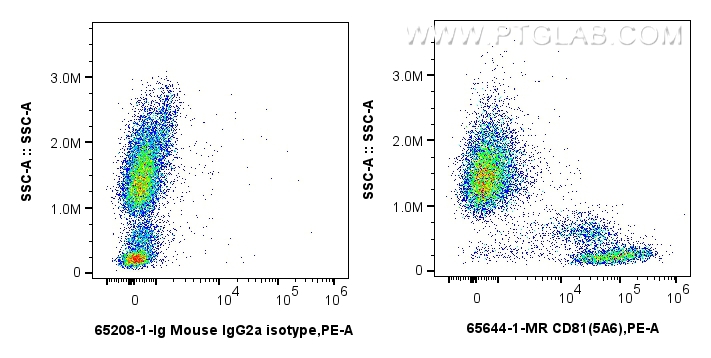 Flow cytometry (FC) experiment of human peripheral blood leukocytes using Anti-Human CD81 (5A6) Mouse IgG2a Recombinant Anti (65644-1-MR)