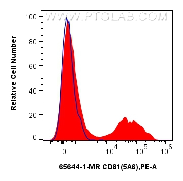 CD81