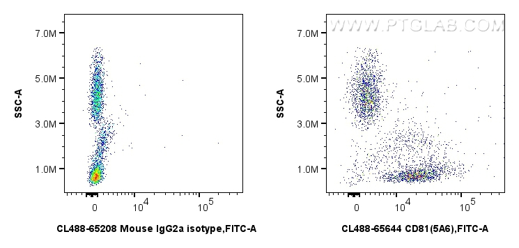 Flow cytometry (FC) experiment of human peripheral blood leukocytes using CoraLite® Plus 488 Anti-Human CD81 (5A6) Mouse IgG (CL488-65644)