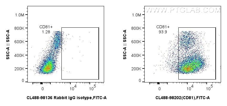Flow cytometry (FC) experiment of human PBMCs using CoraLite® Plus 488 Anti-Human CD81 Rabbit Recombin (CL488-98202)