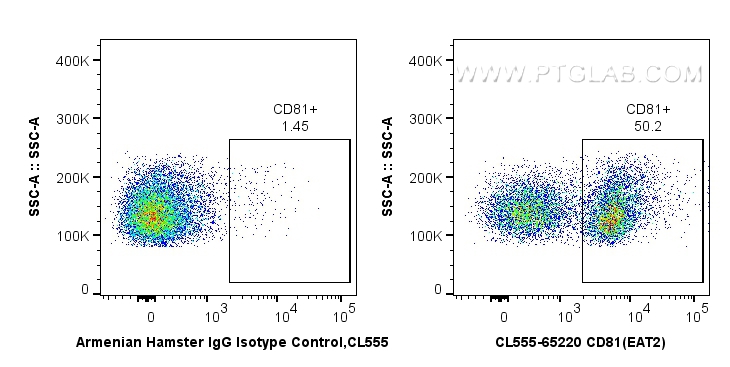 Flow cytometry (FC) experiment of BALB/C mouse splenocytes using CoraLite® Plus 555 Anti-Mouse CD81 (EAT2) (CL555-65220)