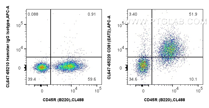 Flow cytometry (FC) experiment of mouse splenocytes using CoraLite® Plus 647 Anti-Mouse CD81 (EAT2) (CL647-65220)