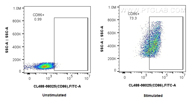 Flow cytometry (FC) experiment of mouse splenocytes using CoraLite® Plus 488 Anti-Mouse CD86 Rabbit Recombin (CL488-98025)