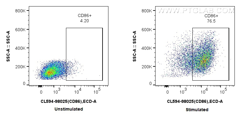 Flow cytometry (FC) experiment of mouse splenocytes using CoraLite®594 Anti-Mouse CD86 Rabbit Recombinant An (CL594-98025)