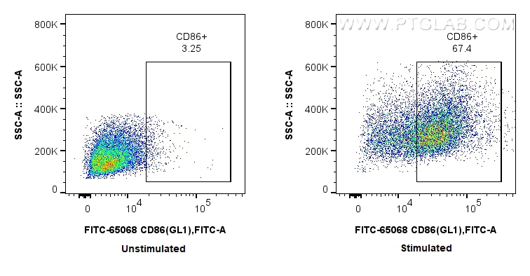 Flow cytometry (FC) experiment of mouse splenocytes using FITC Plus Anti-Mouse CD86 (GL1) (FITC-65068)