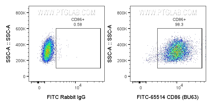 Flow cytometry (FC) experiment of human PBMCs using FITC Plus Anti-Human CD86  (BU63) Rabbit Recombina (FITC-65514)