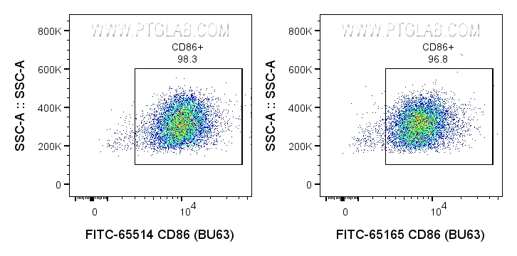 Flow cytometry (FC) experiment of human PBMCs using FITC Plus Anti-Human CD86  (BU63) Rabbit Recombina (FITC-65514)