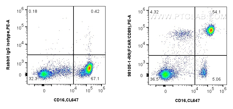 Flow cytometry (FC) experiment of human peripheral blood leukocytes using Anti-Human CD89 Rabbit Recombinant Antibody (98105-1-RR)