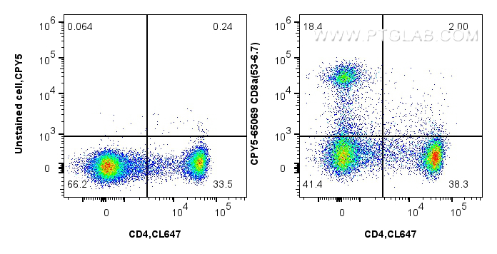 Flow cytometry (FC) experiment of mouse splenocytes using PerCP-Cyanine5.5 Anti-Mouse CD8a (53-6.7) (CPY5-65069)