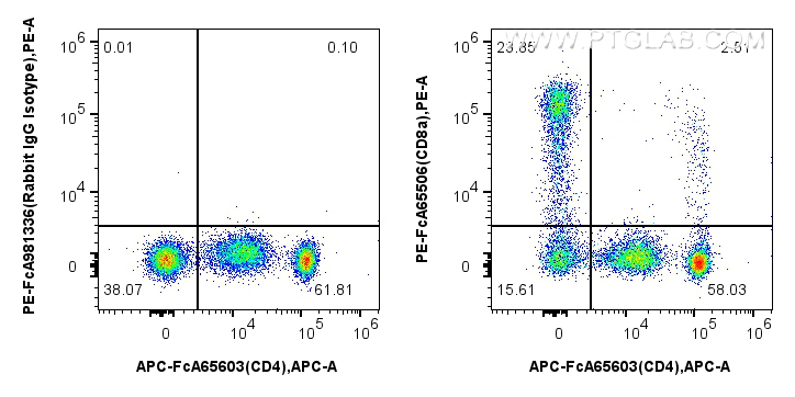 Flow cytometry (FC) experiment of human PBMCs using FcZero-rAb™ PE Anti-Human CD8a (OKT8) Rabbit IgG R (PE-FcA65506)