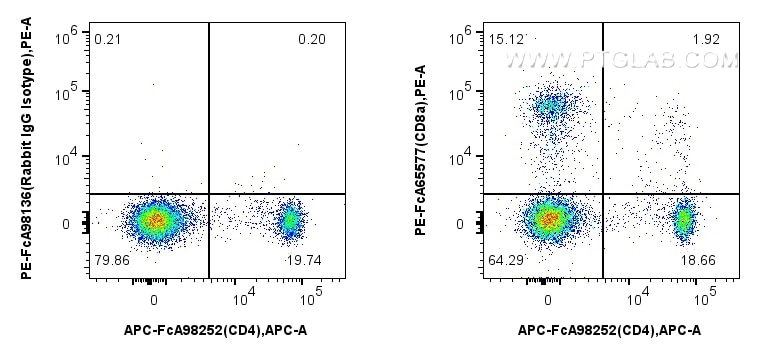 Flow cytometry (FC) experiment of rat splenocytes cells using FcZero-rAb™ PE Anti-Rat CD8a (OX-8) Rabbit IgG Rec (PE-FcA65577)
