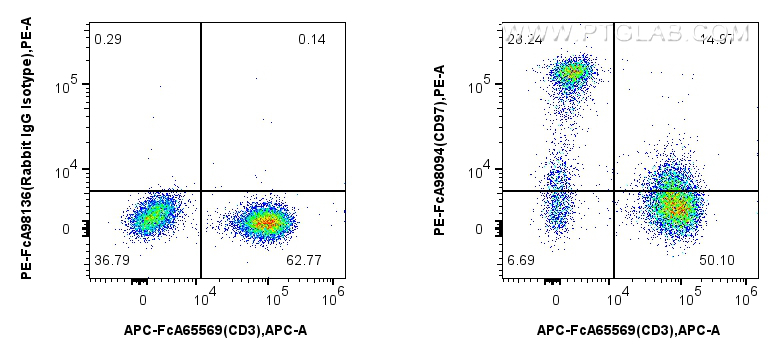 Flow cytometry (FC) experiment of human PBMCs using FcZero-rAb™ PE Anti-Human CD97 Rabbit Recombinant  (PE-FcA98094)