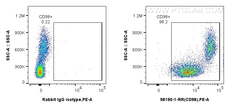 Flow cytometry (FC) experiment of human PBMCs using Anti-Human CD98/SLC3A2 Rabbit Recombinant Antibody (98190-1-RR)