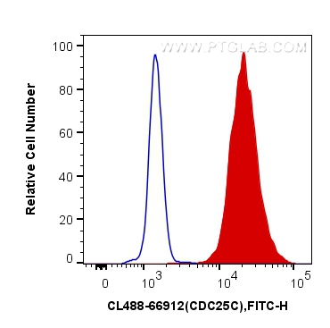 Flow cytometry (FC) experiment of K-562 cells using CoraLite® Plus 488-conjugated CDC25C Monoclonal an (CL488-66912)
