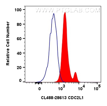 CDC2L1