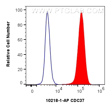 Flow cytometry (FC) experiment of MCF-7 cells using CDC37 Polyclonal antibody (10218-1-AP)