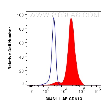 Flow cytometry (FC) experiment of K-562 cells using CDK13 Polyclonal antibody (30461-1-AP)