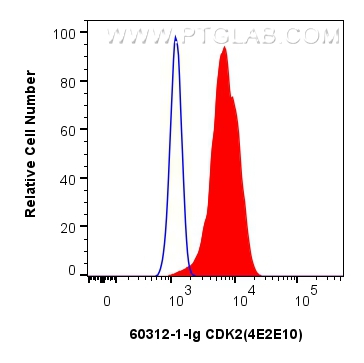 Flow cytometry (FC) experiment of HepG2 cells using CDK2 Monoclonal antibody (60312-1-Ig)