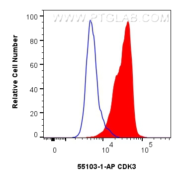 Flow cytometry (FC) experiment of HeLa cells using CDK3 Polyclonal antibody (55103-1-AP)