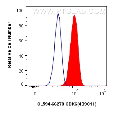 Flow cytometry (FC) experiment of HeLa cells using CoraLite®594-conjugated CDK6 Monoclonal antibody (CL594-66278)