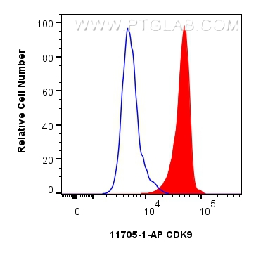 Flow cytometry (FC) experiment of HeLa cells using CDK9 Polyclonal antibody (11705-1-AP)