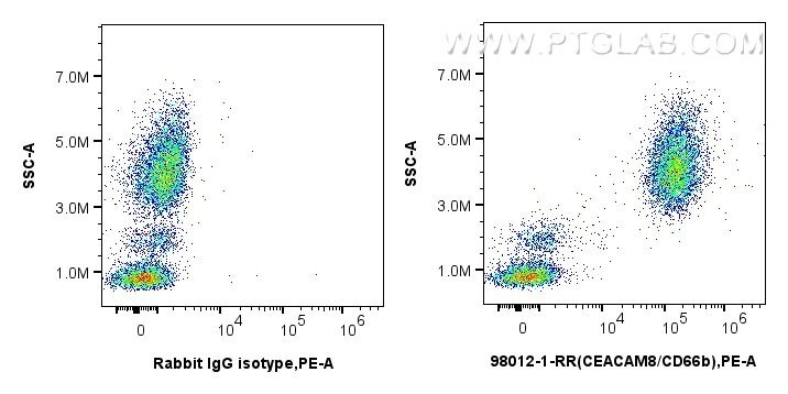 Flow cytometry (FC) experiment of human peripheral blood leukocytes using Anti-Human CEACAM8/CD66b Rabbit Recombinant Antibo (98012-1-RR)