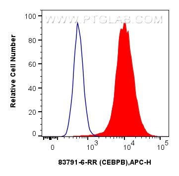 Flow cytometry (FC) experiment of HeLa cells using CEBPB Recombinant antibody (83791-6-RR)