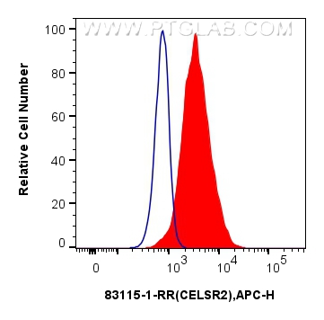 Flow cytometry (FC) experiment of HeLa cells using CELSR2 Recombinant antibody (83115-1-RR)