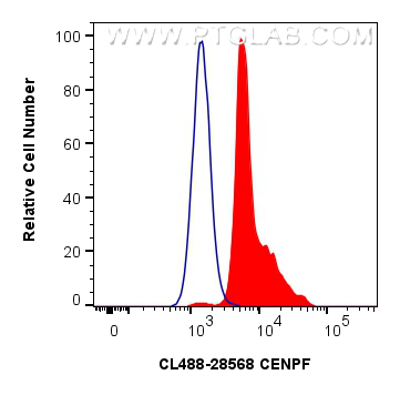 Flow cytometry (FC) experiment of A549 cells using CoraLite® Plus 488-conjugated CENPF Polyclonal ant (CL488-28568)