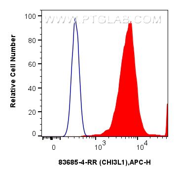 Flow cytometry (FC) experiment of THP-1 cells using CHI3L1 / YKL-40 Recombinant antibody (83685-4-RR)