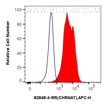 Flow cytometry (FC) experiment of SH-SY5Y cells using CHRNA7 Recombinant antibody (82848-4-RR)
